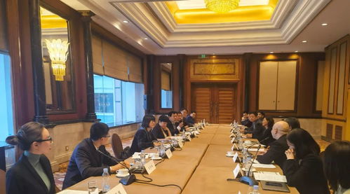 盧國懿出席致公黨中央與僑海人士座談會